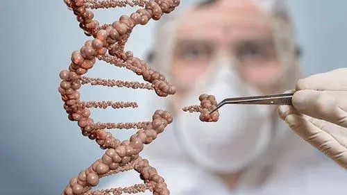 如果一个物种没有足够大的基因库,它还能进化吗?