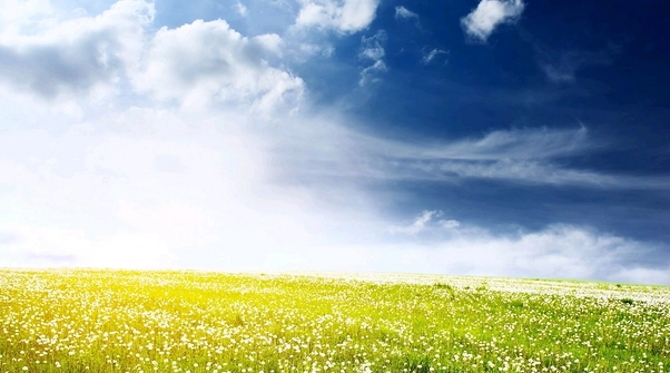 知一先生|宝宝名字精选：洛神赋中最唯美的名字宝典