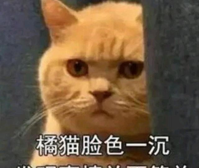 贝壳|加量还加价！宁波第三次集中土拍也许没有想象的那么简单！