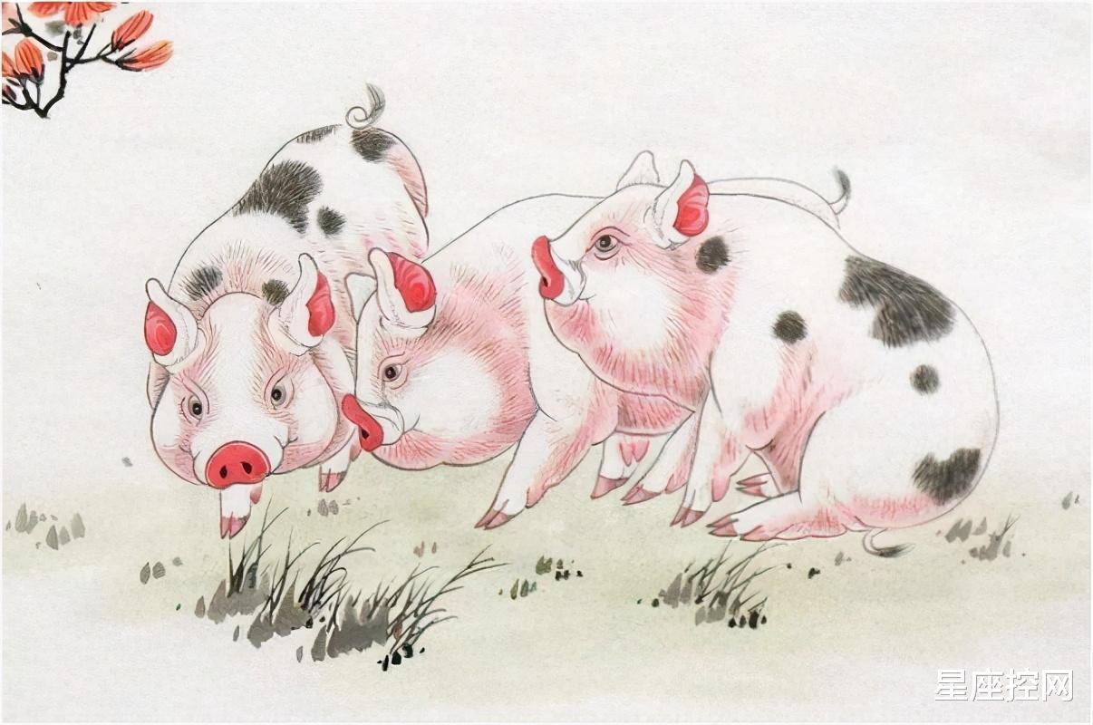 星座控网|阴历六月开门红，赚钱数字倍增，生活质量大好，整个月幸运的生肖