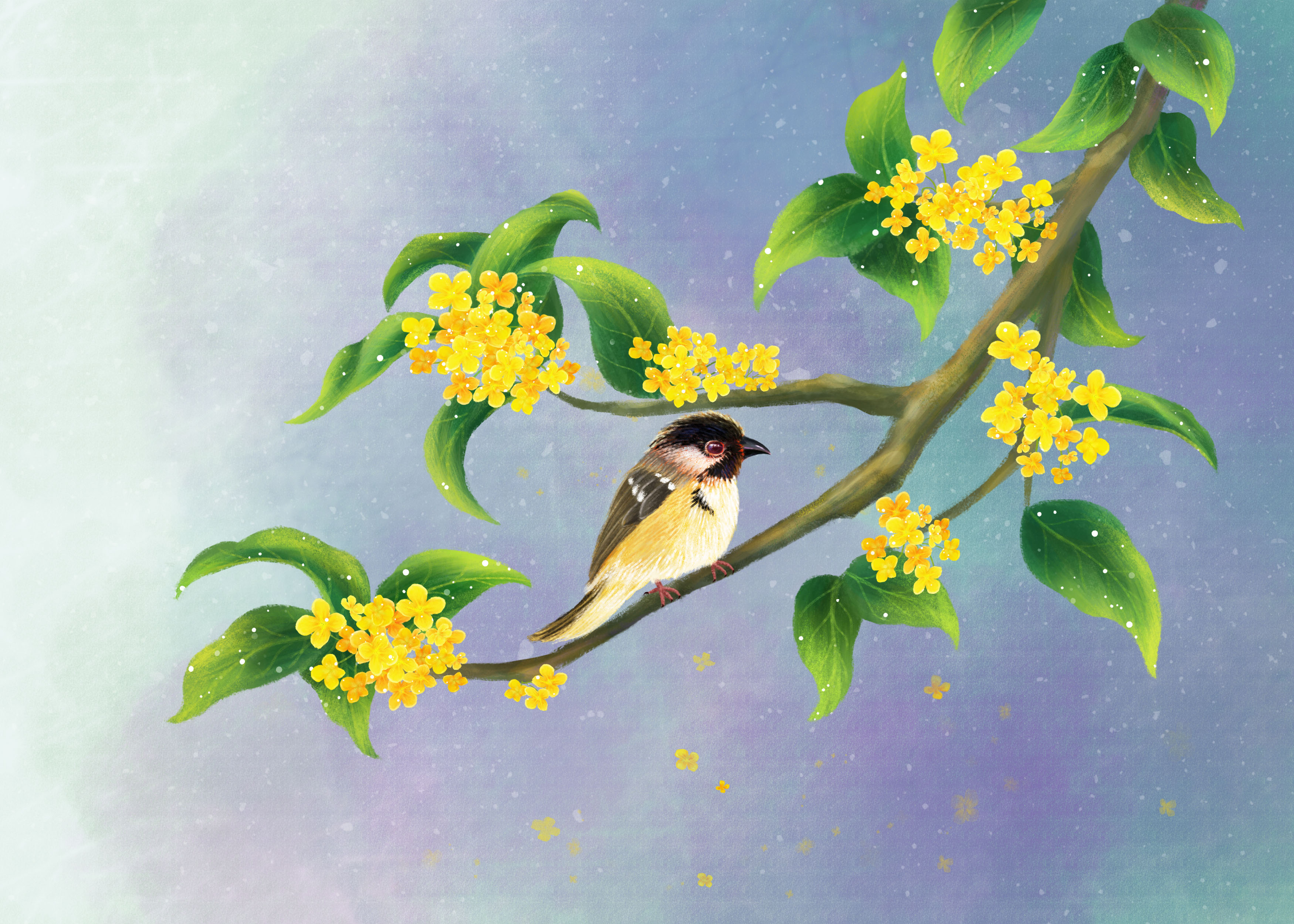 和雨似 心理学：人越穷越不能有三种表现，再可怜别人也不会帮助你