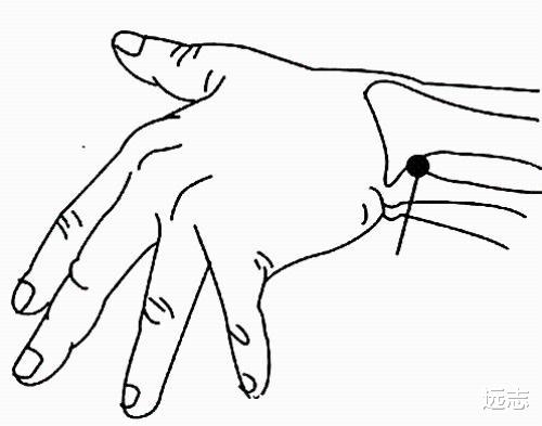 穴位|手不能扭毛巾？眼睛看不清？不妨试试这个穴位！