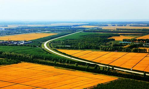 吾天说事 我国粮食恐有危机：黑土地正在变黄，东北黑土地50年内或将消失