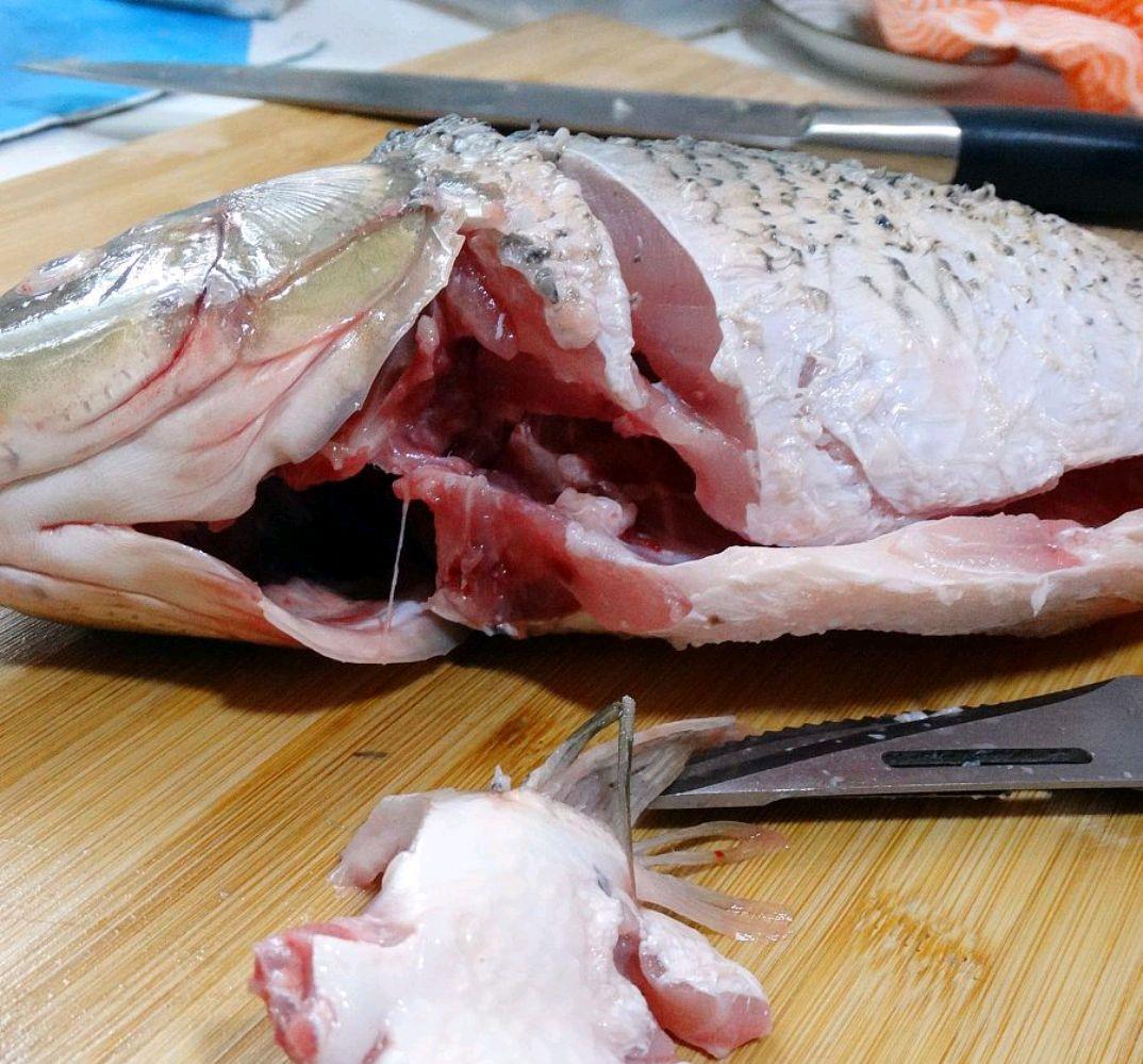 饵料|用鱼肉这样来开饵，小鱼不闹，大鱼狂咬，这效果不是一般的牛！