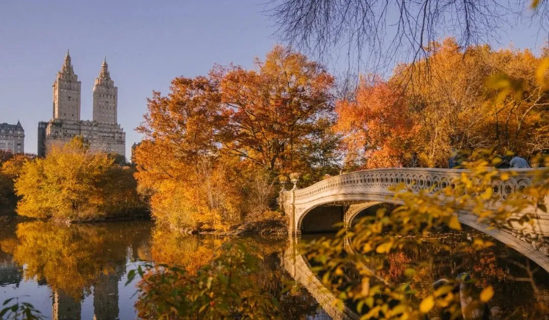 小熊妈妈母婴健康专家|儿童秋季老感冒?秋季感冒如何预防!