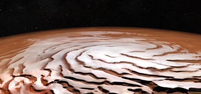 2008年,美国探测器拍到火星有大树和森林?照片不假却很诡异