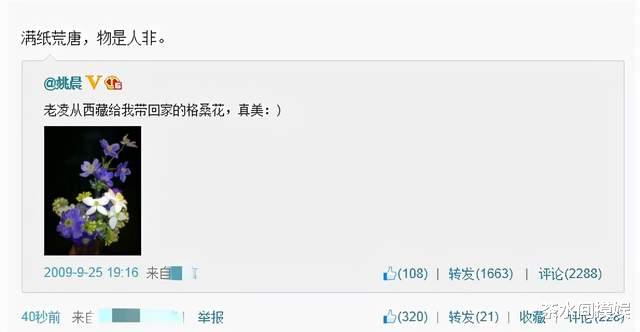 明星|好聚未必好散，明星夫妻离婚撕破脸，比八点档的电视剧还精彩