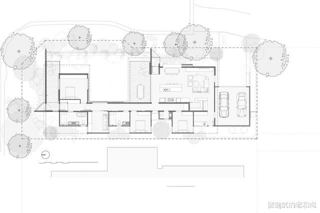 建筑师|从场地原生树木汲取灵感的住宅：坚固、经济以及对场地的回应
