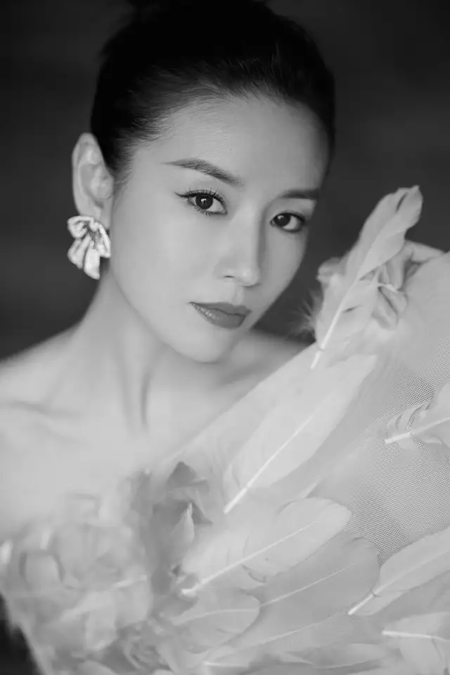 董洁|大连籍女星董洁