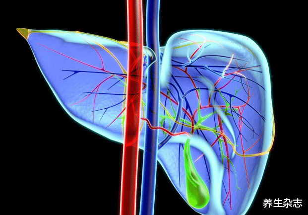 韭菜|韭菜是肝病“发物”？医生坦言：无知，要想养好肝，远离3种蔬菜