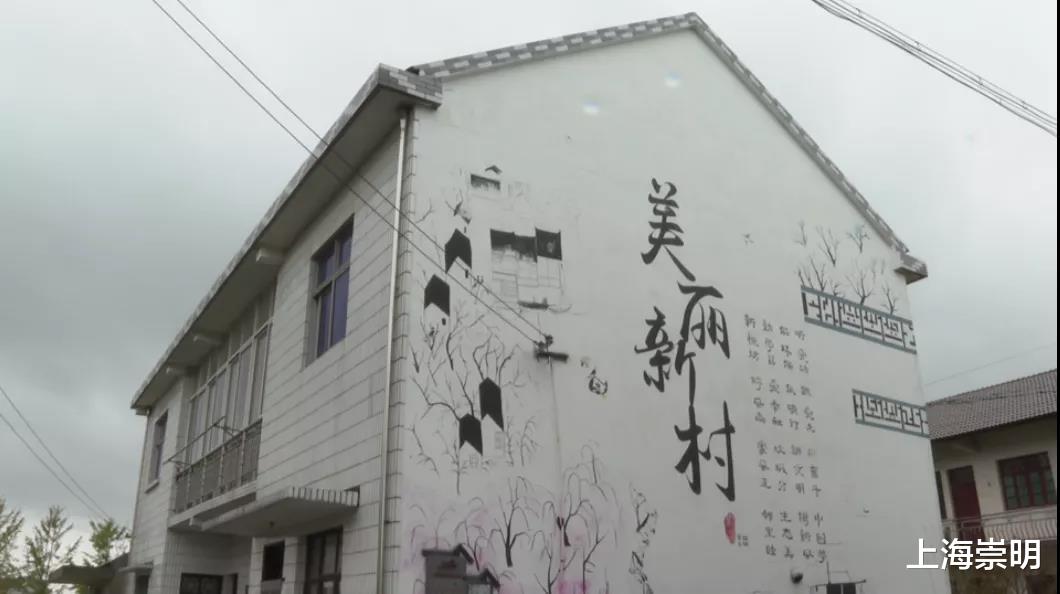 马边|这项工作，崇明全市第三！