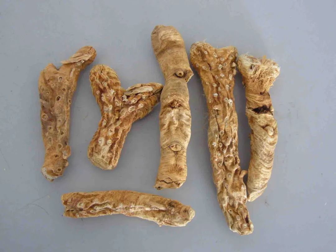 绝经|这个4味药的良方,医圣张仲景却用上古神兽命名,究竟有什么作用