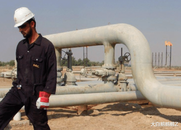 伊拉克 伊拉克停止对华合作！140亿石油订单无效，背后情有可原？