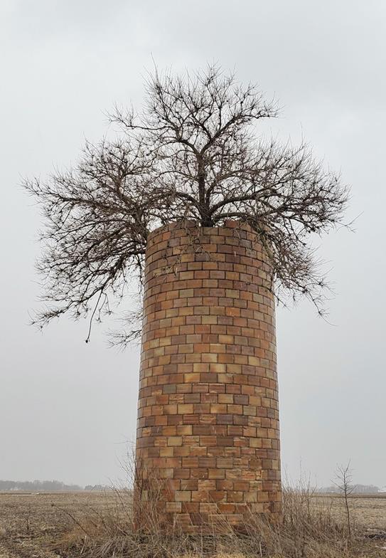  大自然的力量有多大？15张图看清，在自然面前，人类文明太渺小了