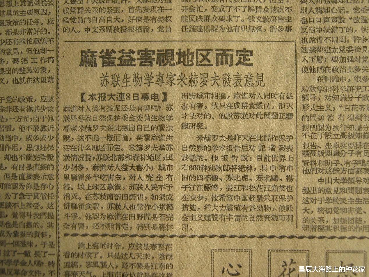 华南虎 我国本土麻雀去哪了？随处可见的麻雀竟然都是进口的！