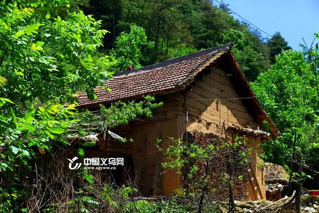 律师 惊了！新婚儿媳报警称遭公公强暴？公公：都是儿媳妇主动的