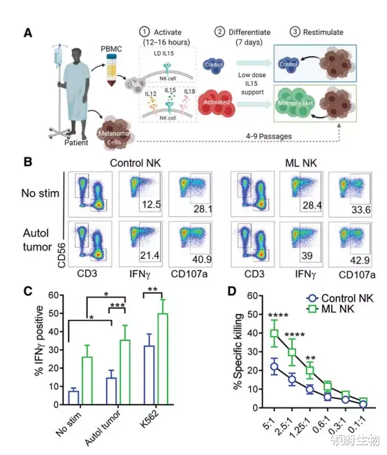黑色素瘤 120万一针的CAR-T也救不了的实体瘤,NK细胞只用了21天消灭它!