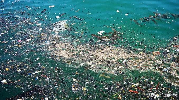 科学家 塑料袋自然降解需200年，它只需几周？科学家发现能以塑料为食的生物