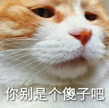 金枝欲孽|承认了!和当红小花当剧组夫妻,现在东窗事发互泼脏水?!