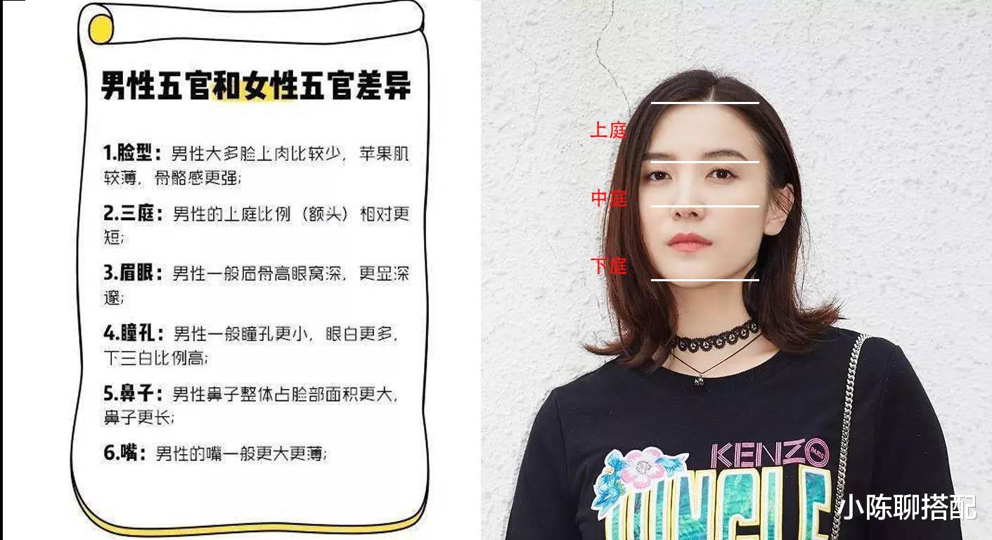 宋佳|长了张“男相脸”的宋佳，为何还美的很有辨识度？