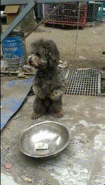 姐姐|马总化腾的女儿，以后谁娶了她就不用愁了！网友神评笑死我