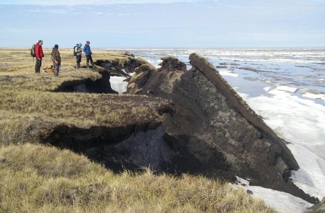 基因 北极“深坑”越来越大，释放大量远古气体，专家提醒世人要警惕