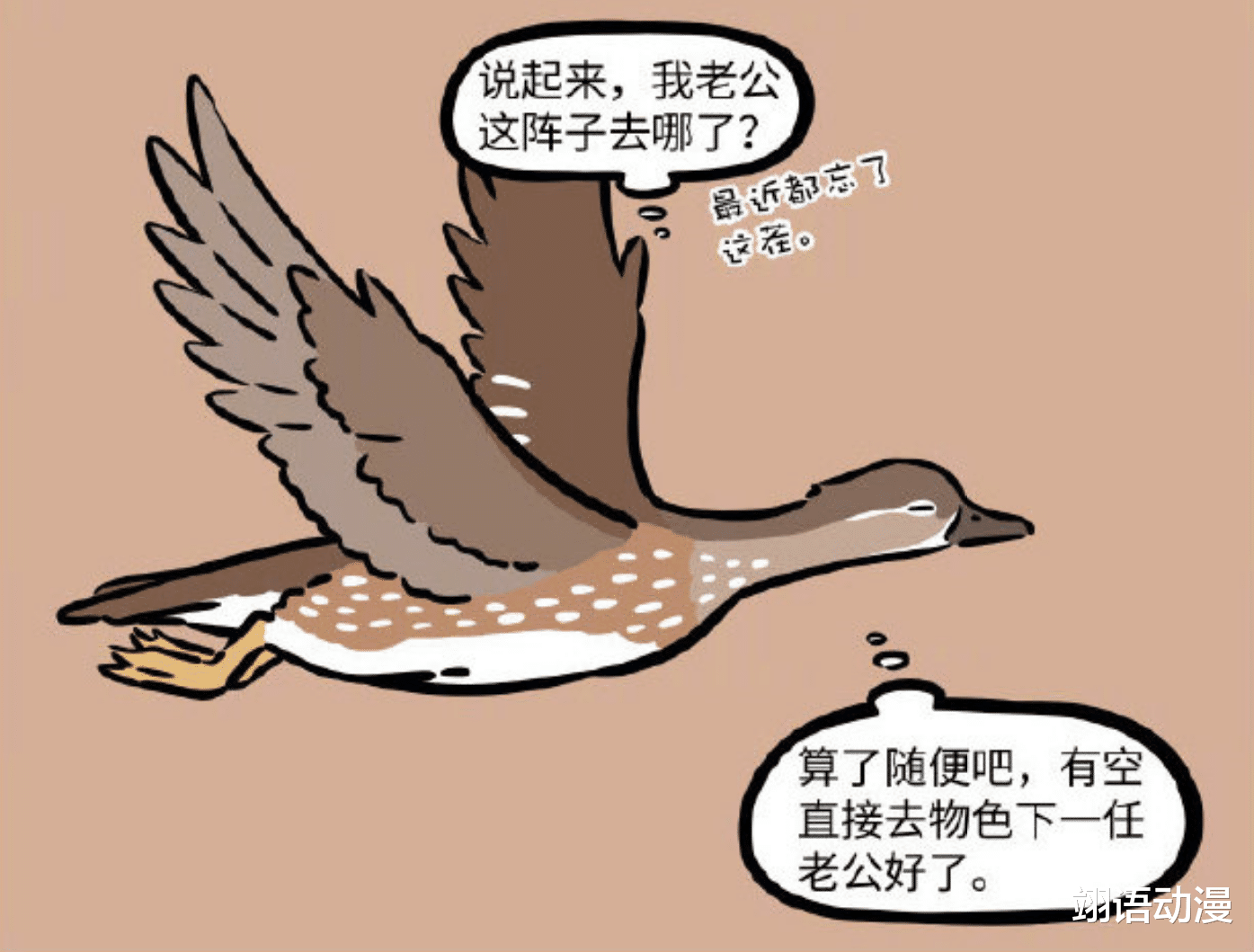 非人哉|非人哉的爱情观，鸳鸯已经胡乱应付，难怪“基”情变“爱情”