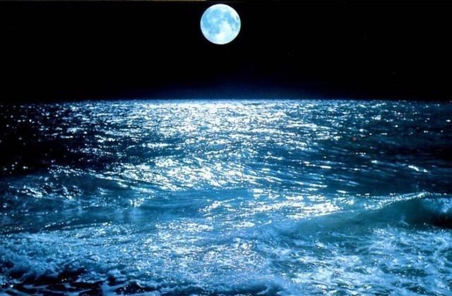 月球 为啥大海会涨潮退潮？退潮以后海水去哪了？看完长知识了