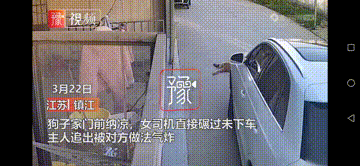 筱筱看社会 狠心！狗狗家门口休息乘凉，奥迪女司机径直从其身上压过