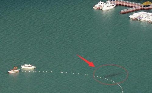 菜菜叶|喀纳斯湖水怪真身？科学家认为“湖怪”可能是哲罗鲑