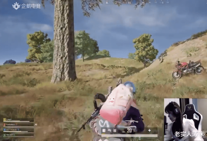 一条小团团|小团团高调露脸！晒“卧室晚安照”回击坦克质疑，老粉：迪丽热巴