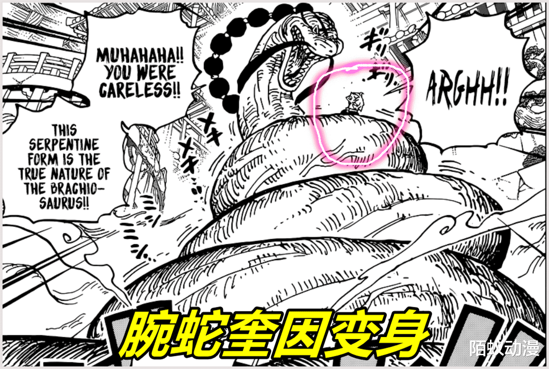奎因|海贼王1028话：13亿奎因终极变身，腕龙蜕变腕蛇，无视武装色霸气