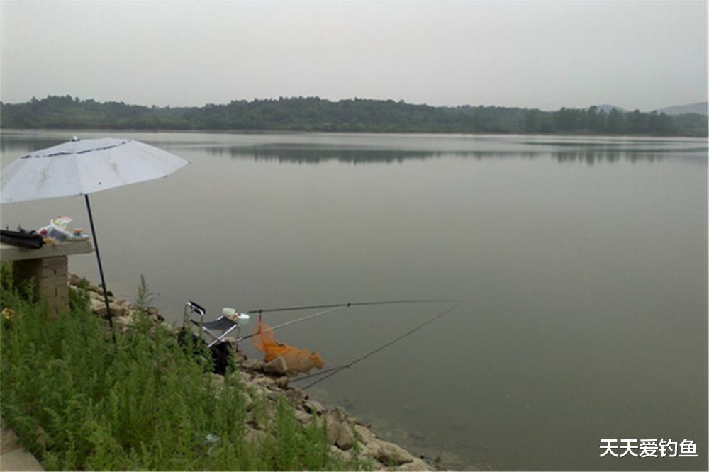 |钓不到鱼？基本是天气没选对，这些天气鱼“胃口好”，很容易爆护