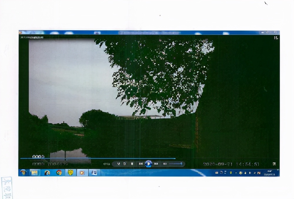 上海市 宁波女子偷瓜被追赶落水身亡,家属索赔13万,法院判决还社会公道