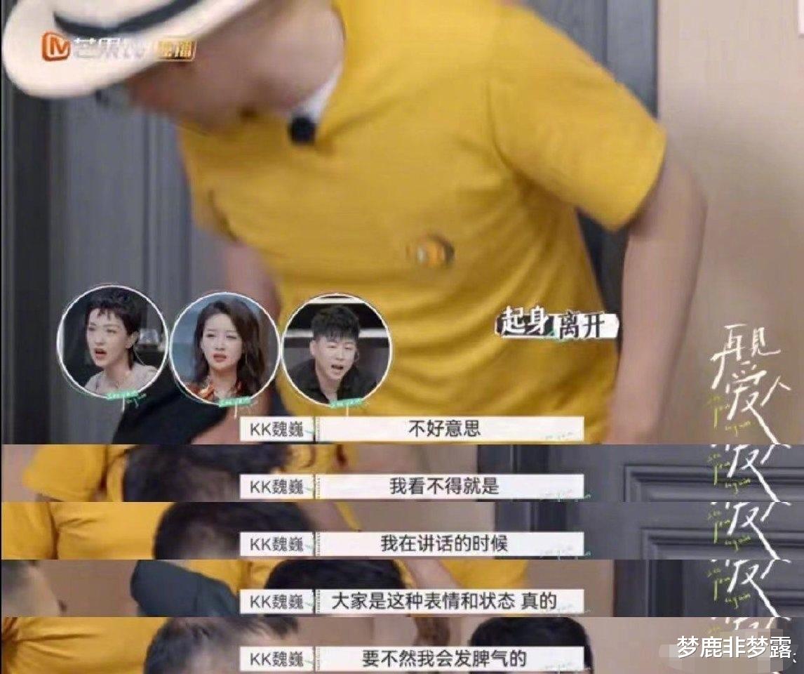 梦鹿非梦露|《再见爱人》魏巍：你说我错，那我就耍赖