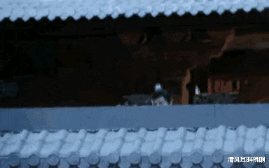 赵露思|被扎成刺猬都不死、新婚揭盖头拍成恐怖片，这些影视剧镜头太离谱