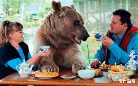 |男子野外钓鱼，身后出现一只大棕熊，竟然只是静静坐着当观众！