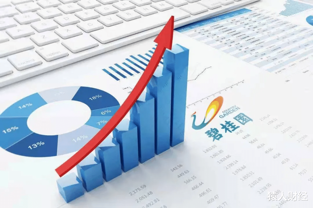 现代简约|宇宙第一房企的隐秘资金池，碧有信平台为碧桂园输送“输血”