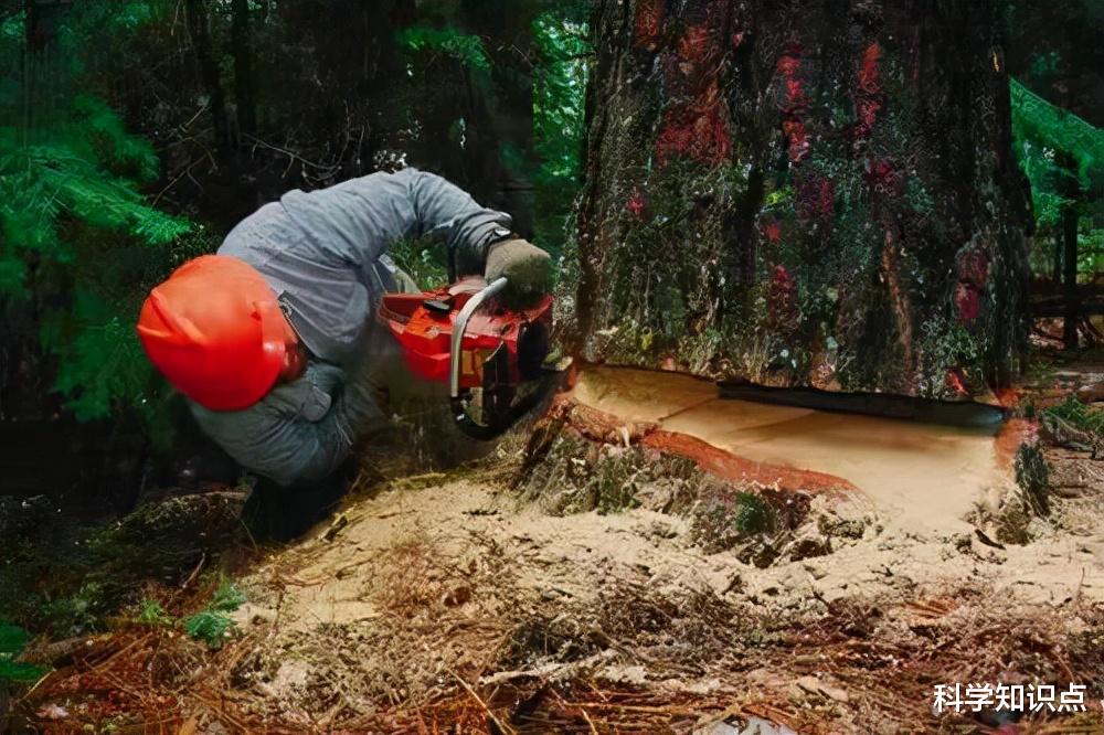 斗牛|全球5大恐怖高薪职业,一场就赚数十万欧元,这种工作你敢干吗?