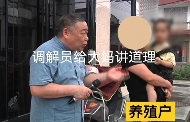 90后宝妈经验|浙江台州: 大妈家门口养鸡,邻居哭诉,粪便不清理半夜三更鸡就叫