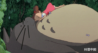 睡眠|一女生睡姿不对导致脊柱侧弯！睡觉究竟侧卧好，还是平躺好？