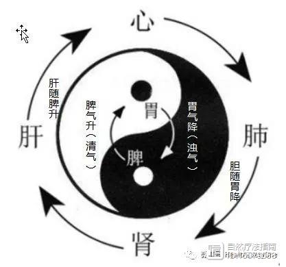 运动|“天人合一”怎么合?---中医人体气机“圆运动”理论指导意义