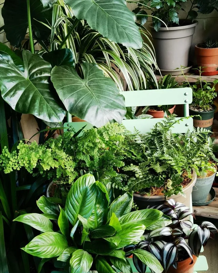 6㎡封闭阳台造花园，1寸空间也不浪费，不出门也能看风景