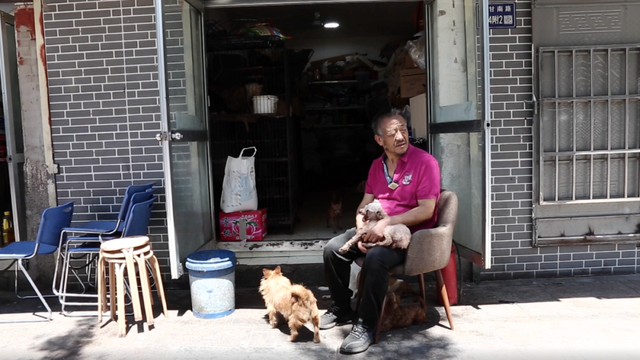 流浪狗 夫妻为收养数百条流浪狗不惜卖掉房子，妻子却因狗而去世