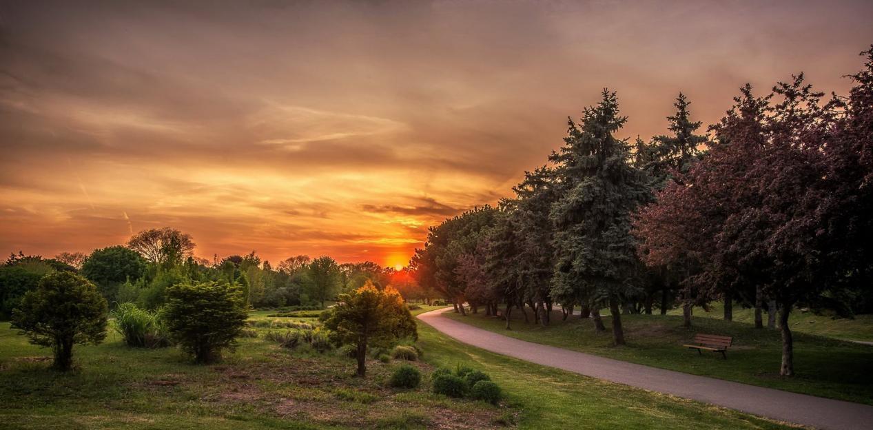 泪水迷失了双眼|7月底前，事业大起大落的星座，短期震荡，调整心态，或迎惊喜