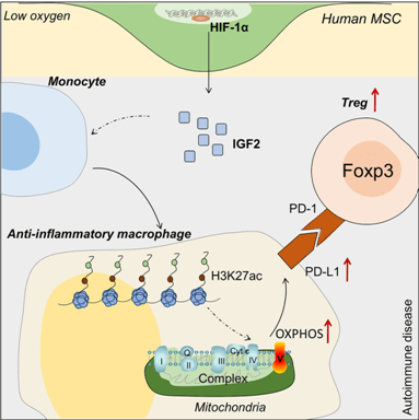 太空|干细胞治疗对自身免疫性疾病的机遇及临床案例！