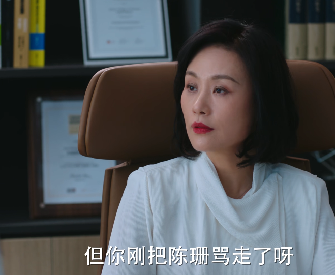 新闻发言人|《完美伴侣》收视破2!豆瓣却差评一片,观众差评理由出奇一致