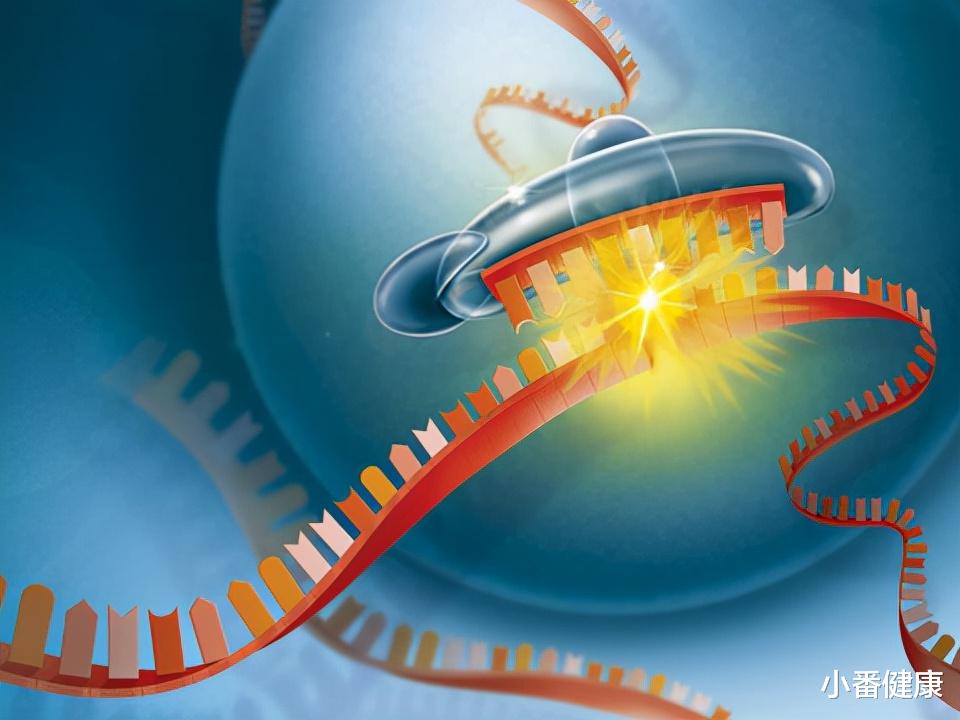 小番健康|乙肝在研新药之RNAi，基于失败先例，该方向可调降表面抗原水平