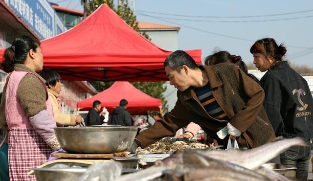 教教你家娃|收储不及预期，猪价又下探？“涨不动”原因找到，与屠企关系不大