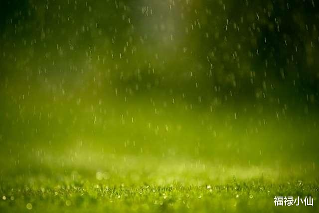 福禄小仙 堪称“及时雨”的4生肖，言出必行，雪中送炭，不求回报，值得信赖